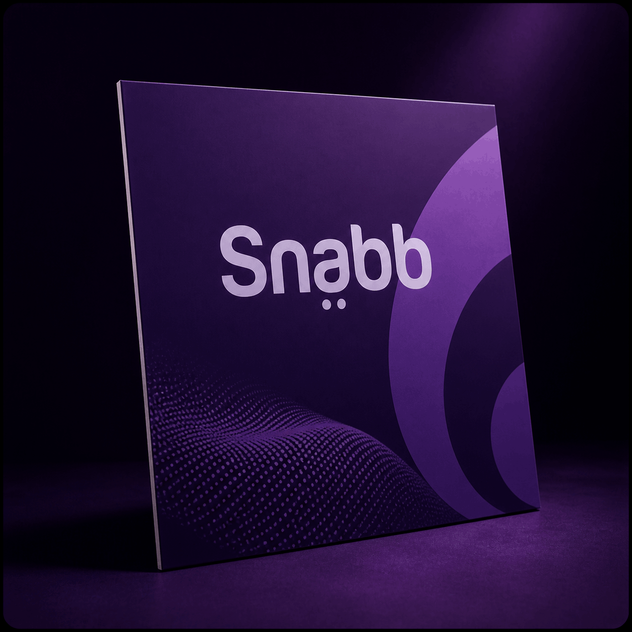 Snabb_agence_1