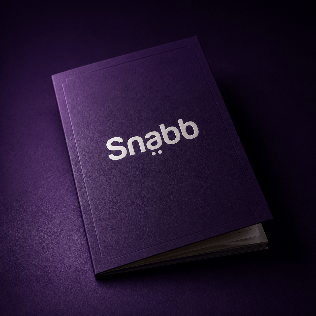Snabb_agence_2