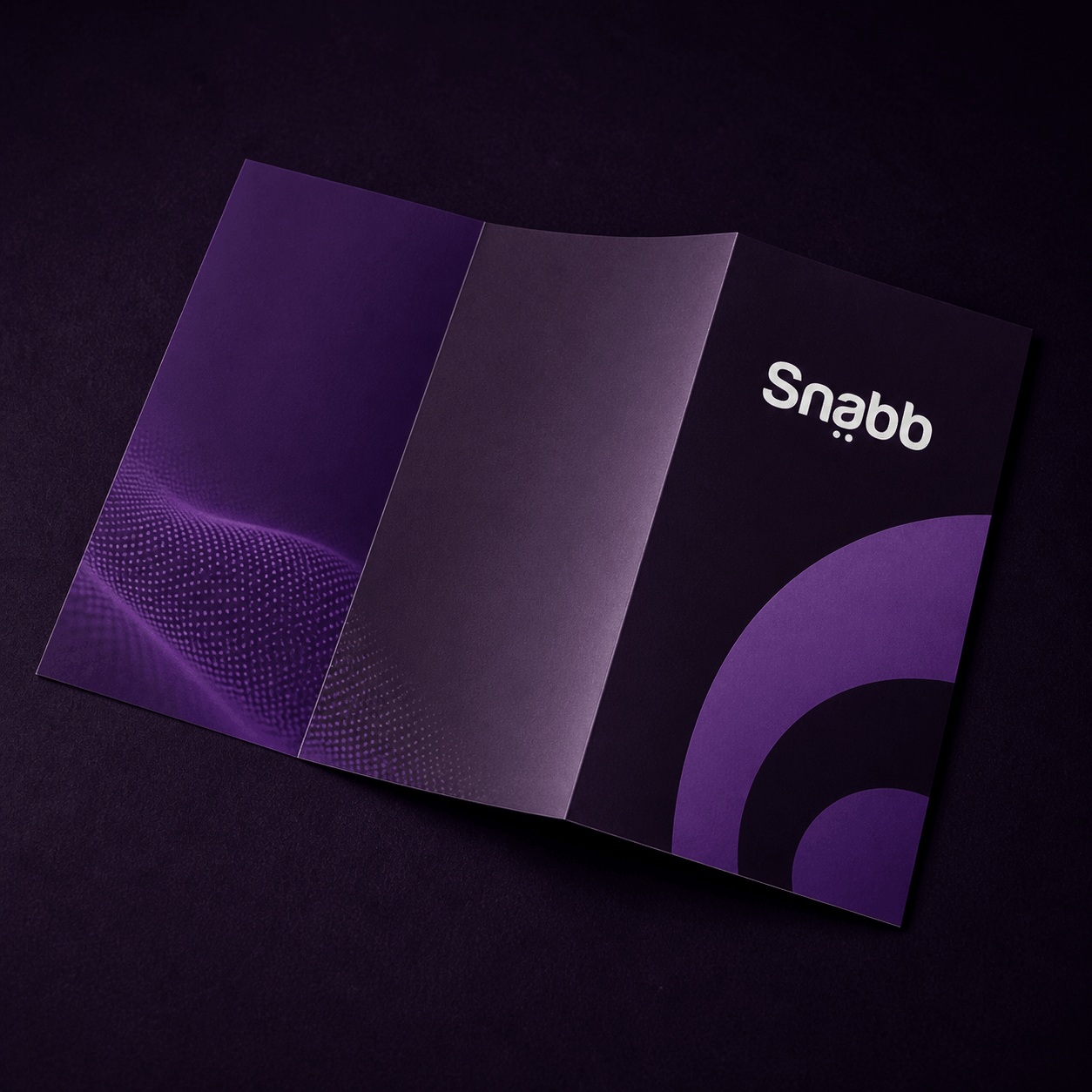 Snabb_agence_3